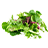 ingredient